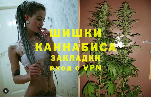 гидропоника Алексеевка