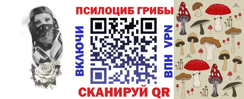 Галлюциногенные грибы Psilocybe  Анадырь 